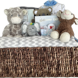 BABY DREAMS BLUE